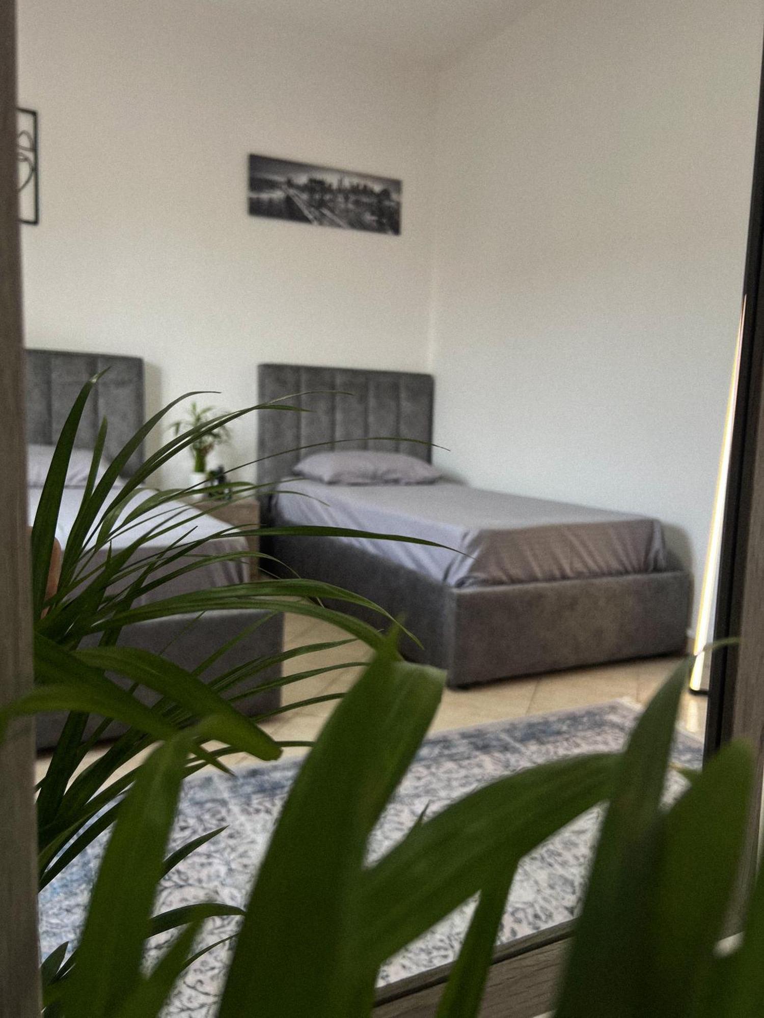 Hostel By Fenix Tirana Bagian luar foto
